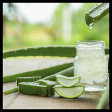 Load image into Gallery viewer, Mek Eh Betta | Aloe Vera Oil
