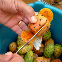 Load image into Gallery viewer, Mek Eh Betta | Prickly Pear &amp; Aloe Oil
